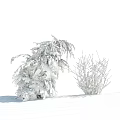 Snow Covered Shrubs in Winter Landscape with Clear Blue Sky and Snowy Ground