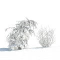 Modern Shrub Winter Shrub 3d model