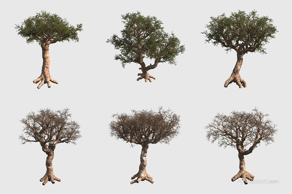 Various Trees with Exposed Roots and Different Foliage Growth Stages 3d model