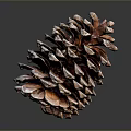 Pine Cone Inspired Food Creation With Natural Organic Shape 3d model