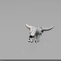 Detailed Bovine Skull With Textured Surface And Reflection On Dark Background 3d model