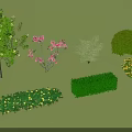 Beautiful Garden Scene with Various Flowering Shrubs Trees and Green Bushes