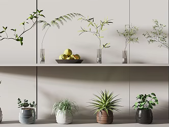 modern vase plant potted 3d model