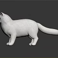 Detailed Realistic White Cat 3D Model Standing On Dark Surface With Green Eyes
