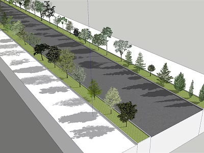 Tall Trees Neatly Arranged Along Roadside With Green Landscape And Shadows 3d model