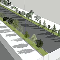 Tall Trees Neatly Arranged Along Roadside With Green Landscape And Shadows