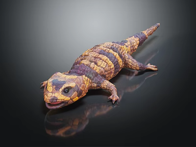 Vibrant Yellow and Black Striped Lizard on Shiny Black Reflective Surface 3d model