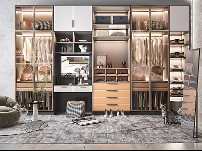 Modern Wardrobe Interior Design With Open Storage Drawers LED Lighting And Hanging Space 3d model