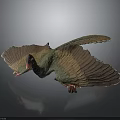 Flying Prehistoric Creature Model With Large Wings Green Brown Feathers Red Beak Claws