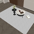 Square Carpet Fabric Carpet Plush Carpet 3d model