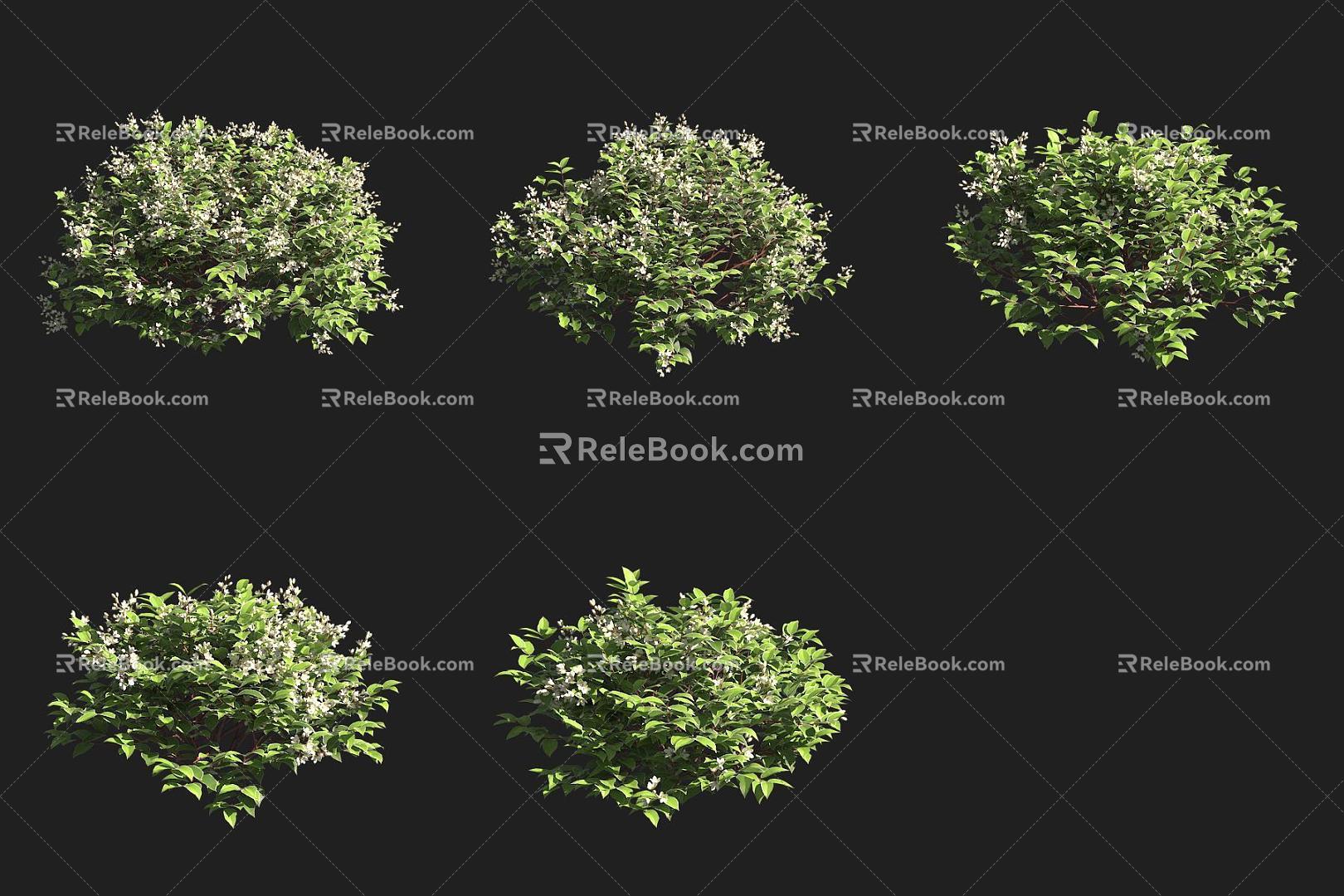 Toothed leaf shrub 3d model