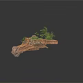 Modern Rock Garden Design With Natural Stones And Various Green Plants