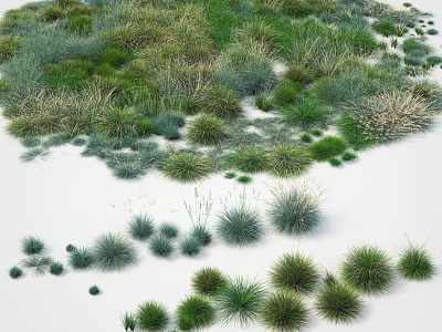 Diverse Green Grasses And Herbaceous Plants With Natural Growth Patterns And Lush Foliage 3d model
