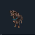 Playful Brown Dachshund Looking Up With Blue Collar On Gray Background 3d model