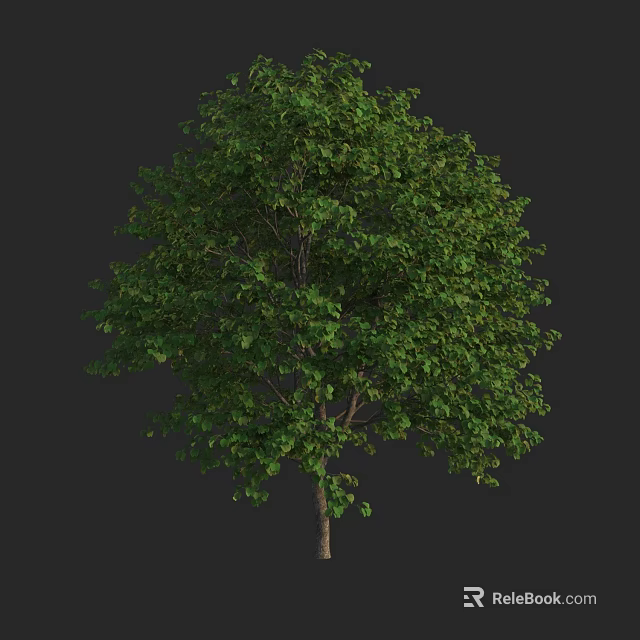 Lush Green Arbor With Dense Foliage And Strong Trunk In Natural Form 3d model 