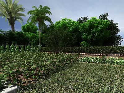 Tropical Garden Landscape With Palm Trees Lush Green Trees Bushes And Neat Lawn 3d model