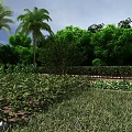 Tropical Garden Landscape With Palm Trees Lush Green Trees Bushes And Neat Lawn