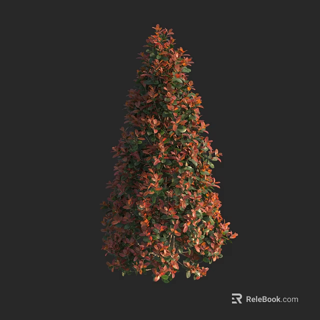 Colorful Leaf Shrub With Red And Green Foliage For Garden Landscaping 3d model 
