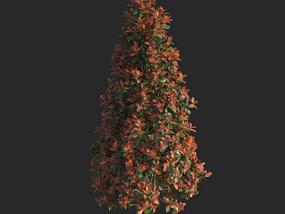 Colorful Leaf Shrub With Red And Green Foliage For Garden Landscaping 3d model