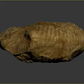 Chi chrysanthemum stone ancient fossil stone chrysanthemum fossil items 3d model