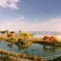 Modern Lake View 3d model