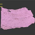 Natural Wood Stone with Layered Surface Texture and Rich Natural Decorative Patterns