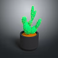 Potted Green Cactus Plant in Black Pot with Orange Soil