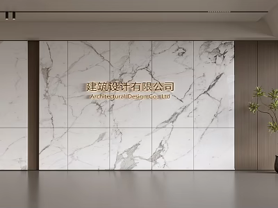 Modern Marble Background Wall Design in Contemporary Interior with Wooden Accents and Potted Plant 3d model