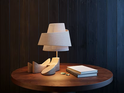 Modern Layered Linen Shade Table Lamp On Round Wooden Table With Books And Dark Wall 3d model