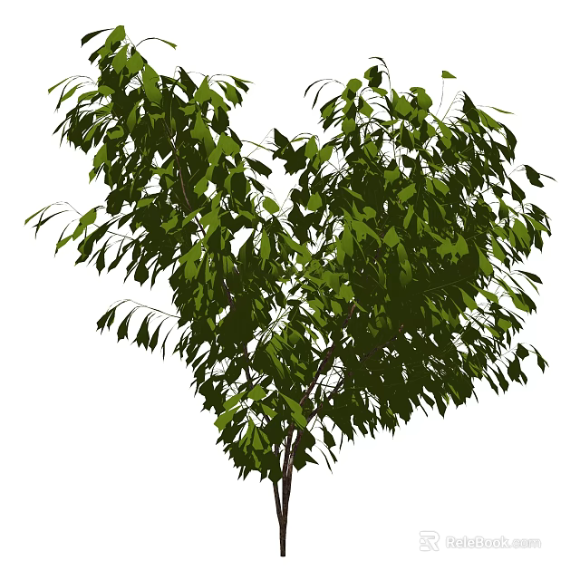 Lush Green Arbor With Dense Foliage And Straight Trunk In Garden 3d model 