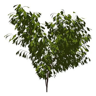 Lush Green Arbor With Dense Foliage And Straight Trunk In Garden 3d model