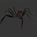 Artistic Long Legged Spider Sculpture With Decorative Intricate Details On Gray Background