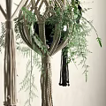 Macrame Plant Hangers With Green Ferns And Various Styles For Indoor Decor
