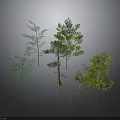 Various Types of Green Plants with Different Heights Shapes Trees and Shrubs 3D Rendering