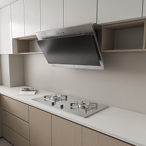 Range Hood Kitchen Appliances Hood Machine Stove Modern Cabinet 3d model