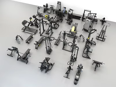 Diverse Fitness Equipment Collection Including Weight Machines Treadmills Dumbbells And Benches 3d model