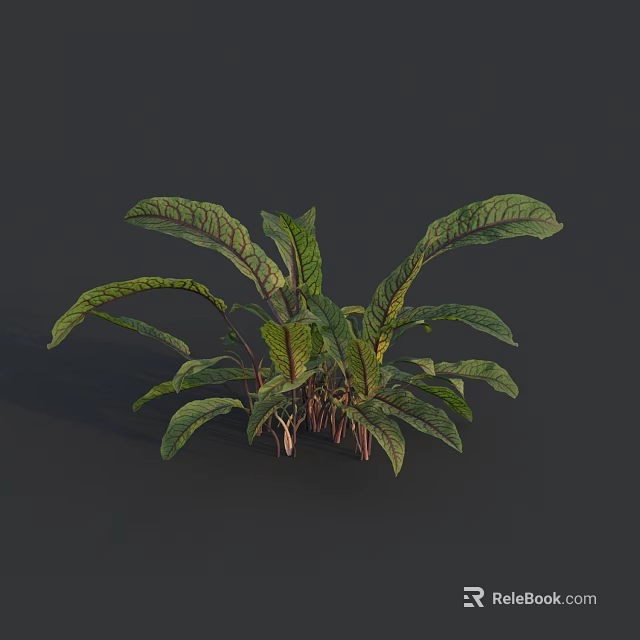 Vibrant Fresh Vegetable Plant Featuring Broad Green Leaves with Purple Veins 3d model 