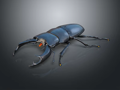 Shiny Black Stag Beetle With Large Mandibles And Orange Eyes On Dark Background Close Up 3d model