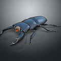 Shiny Black Stag Beetle With Large Mandibles And Orange Eyes On Dark Background Close Up