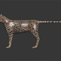 Bengal Cat With Spotted Fur Standing On Dark Reflective Surface 3d model