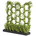 Lush Green Climbing Vines Covering Decorative Grid For Natural Garden Backdrop