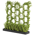 Modern Vine Vine Green Planting Plate Planting Green Planting Wall Flower Pool Green Planting Background 3d model