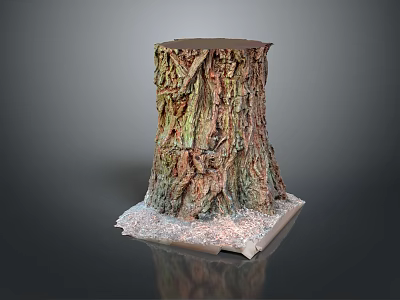 Natural Wooden Tree Stump Decorative Piece with Stone Base and Natural Texture 3d model