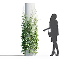 Lush Green Vines Climbing Up Tall White Column with Woman Silhouette Standing Beside