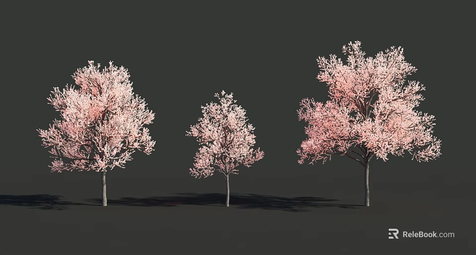 Three Deciduous Trees With Pink Blossoms And Gray Trunks On Dark Background 3d model 