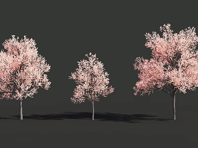 Three Deciduous Trees With Pink Blossoms And Gray Trunks On Dark Background 3d model