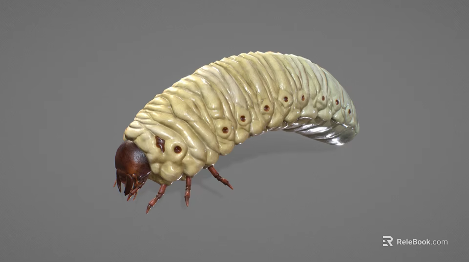 Yellow Caterpillar With Segmented Body Dark Brown Head And Multiple Legs On Gray Background 3d model 