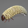 Yellow Caterpillar With Segmented Body Dark Brown Head And Multiple Legs On Gray Background