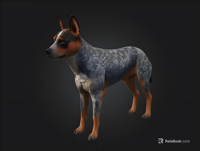 Blue Gray And Brown Dog Standing In Dark Background With Detailed Fur 3d model 