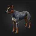 Blue Gray And Brown Dog Standing In Dark Background With Detailed Fur